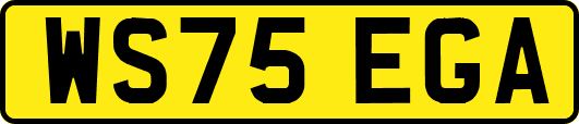 WS75EGA