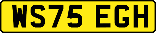 WS75EGH