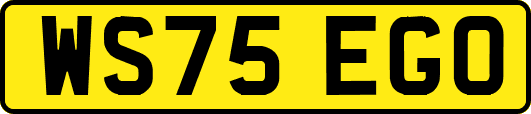 WS75EGO