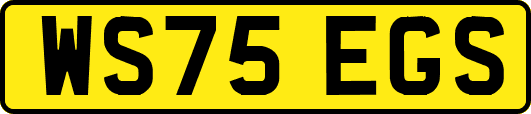 WS75EGS