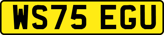 WS75EGU