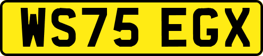 WS75EGX