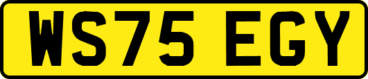 WS75EGY