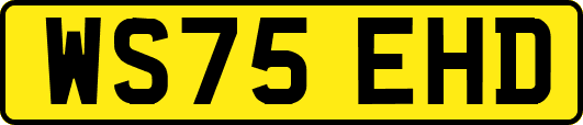 WS75EHD