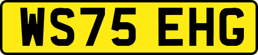 WS75EHG