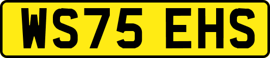 WS75EHS