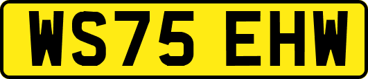 WS75EHW