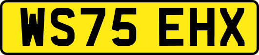 WS75EHX