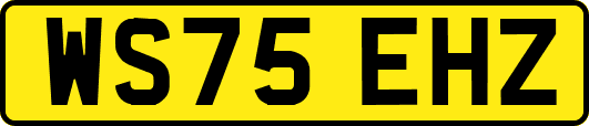 WS75EHZ