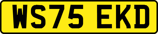 WS75EKD