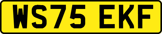WS75EKF