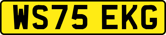 WS75EKG