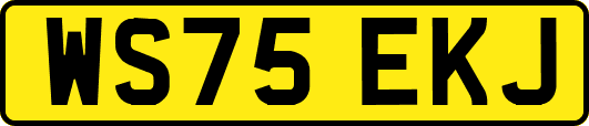 WS75EKJ