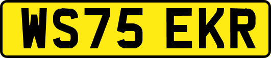 WS75EKR