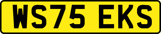 WS75EKS