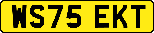 WS75EKT