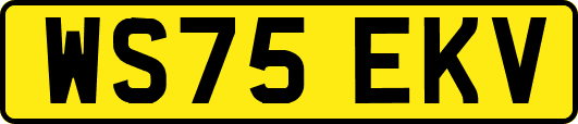 WS75EKV