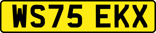 WS75EKX