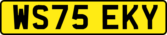 WS75EKY