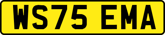 WS75EMA