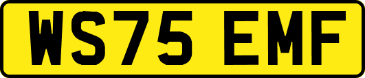 WS75EMF