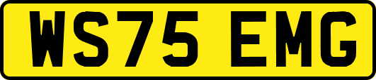 WS75EMG
