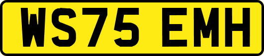 WS75EMH