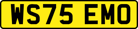 WS75EMO