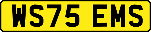 WS75EMS