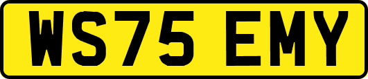 WS75EMY