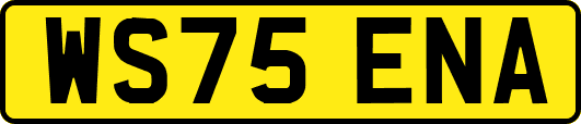 WS75ENA