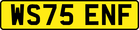 WS75ENF