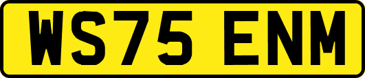 WS75ENM