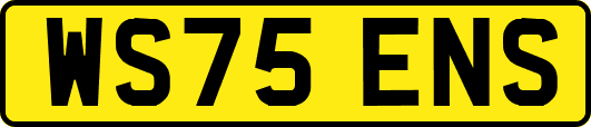WS75ENS