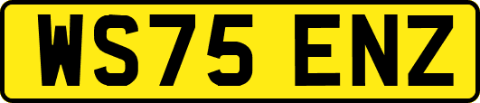 WS75ENZ