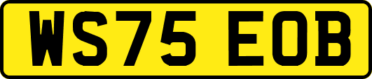 WS75EOB