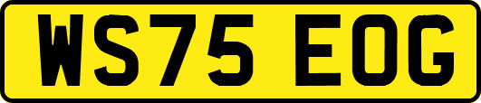 WS75EOG