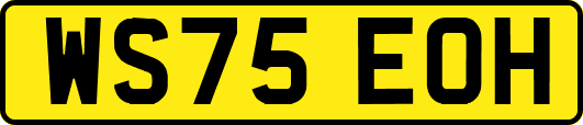 WS75EOH