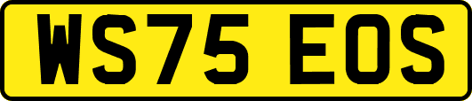 WS75EOS