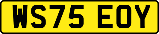 WS75EOY