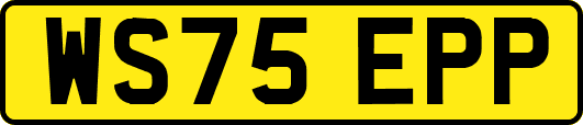 WS75EPP
