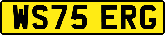 WS75ERG