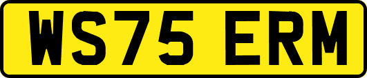 WS75ERM