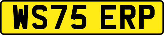 WS75ERP