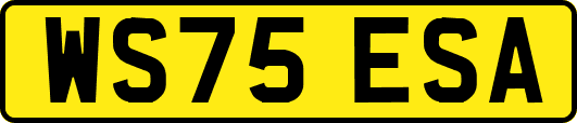 WS75ESA