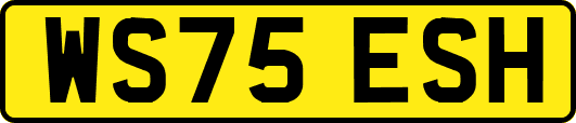 WS75ESH