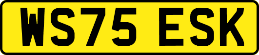WS75ESK