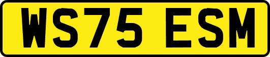 WS75ESM