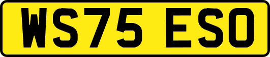 WS75ESO