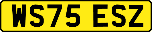 WS75ESZ